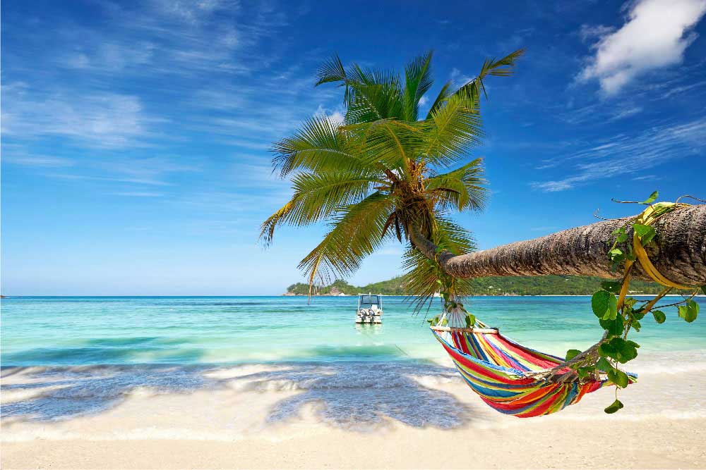 Luxury travel experiences?>